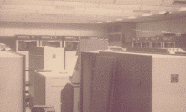 wpe24.gif (44404 bytes)